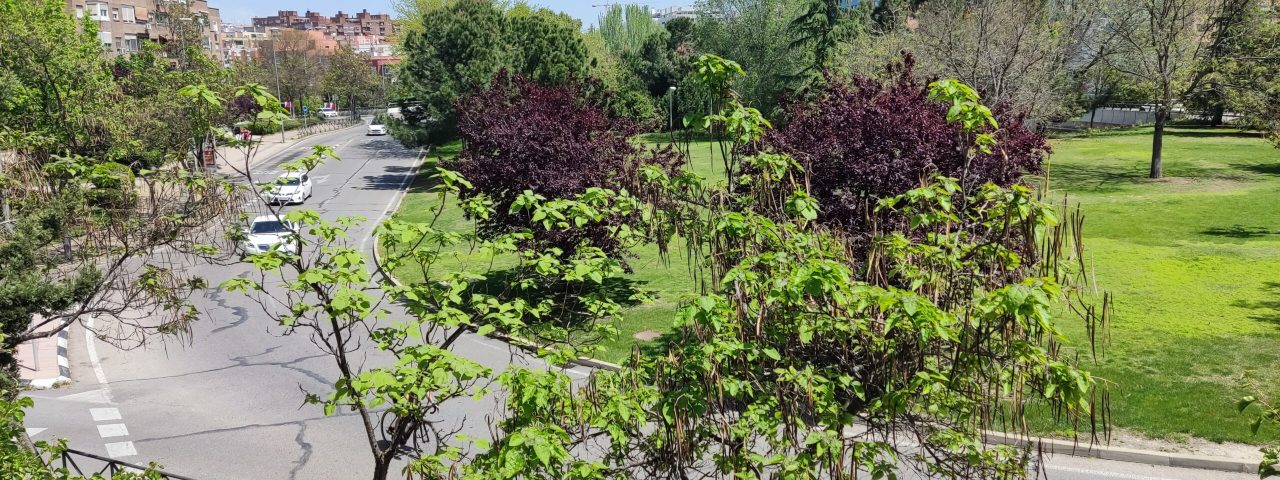 alcobendas-3