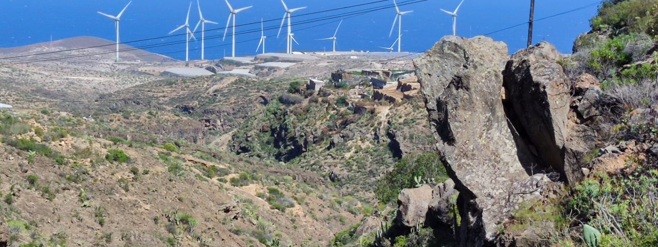 arico-el-nuevo-8