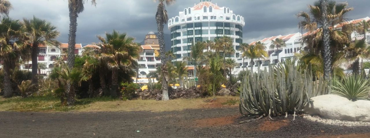 arona-11