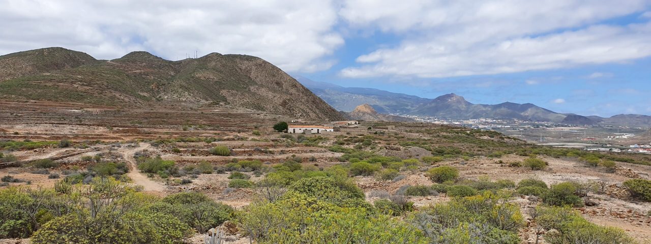 arona-4