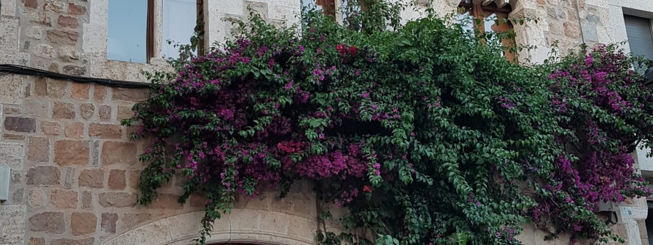 caldas-de-montbuy-9