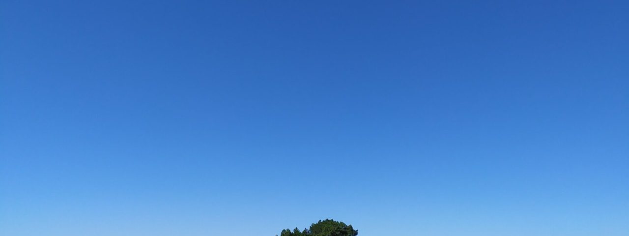cambados