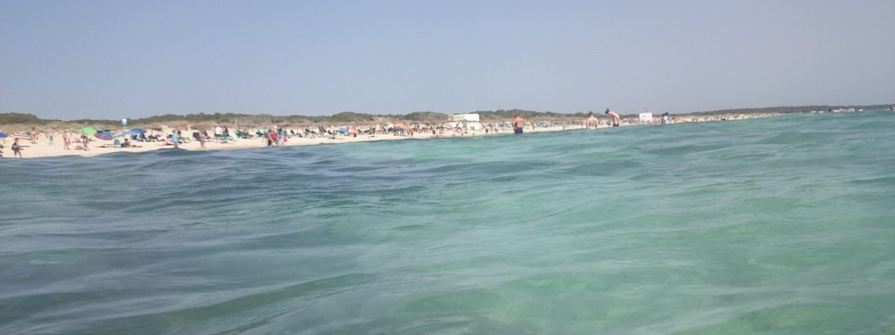 campos-del-puerto-8