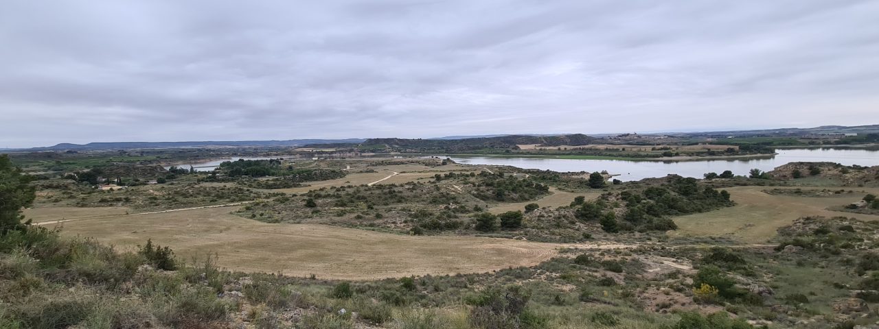caspe