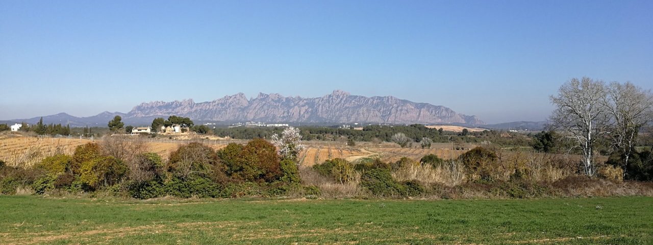 masquefa-2
