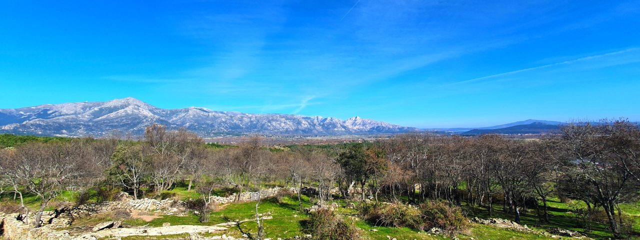 moralzarzal-3