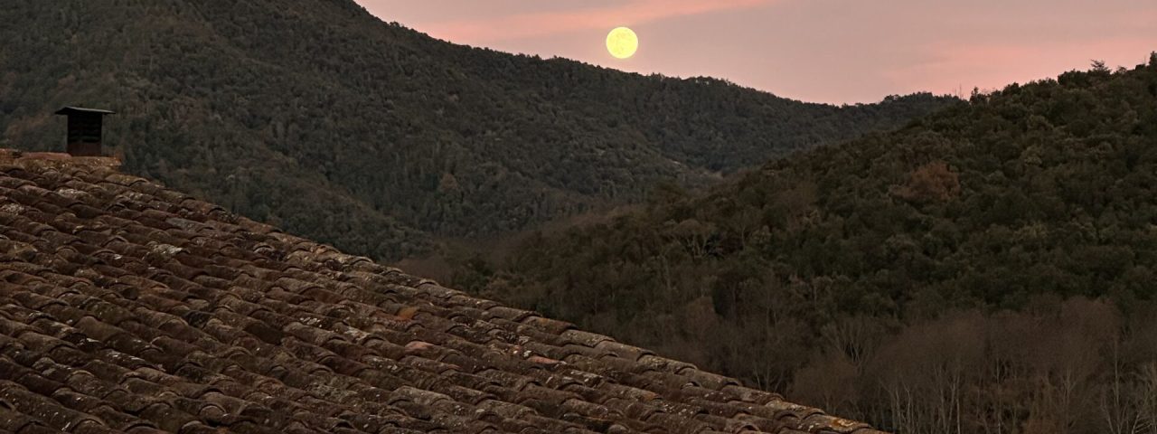 olot-4