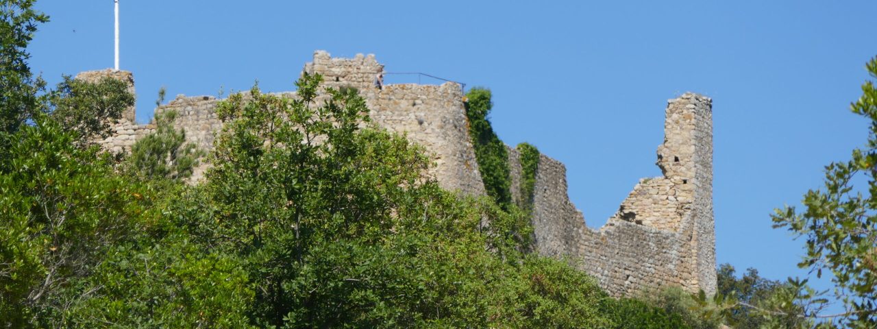 palafolls-2