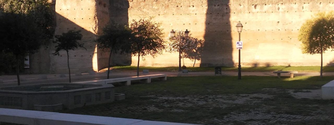 palma-del-rio-8