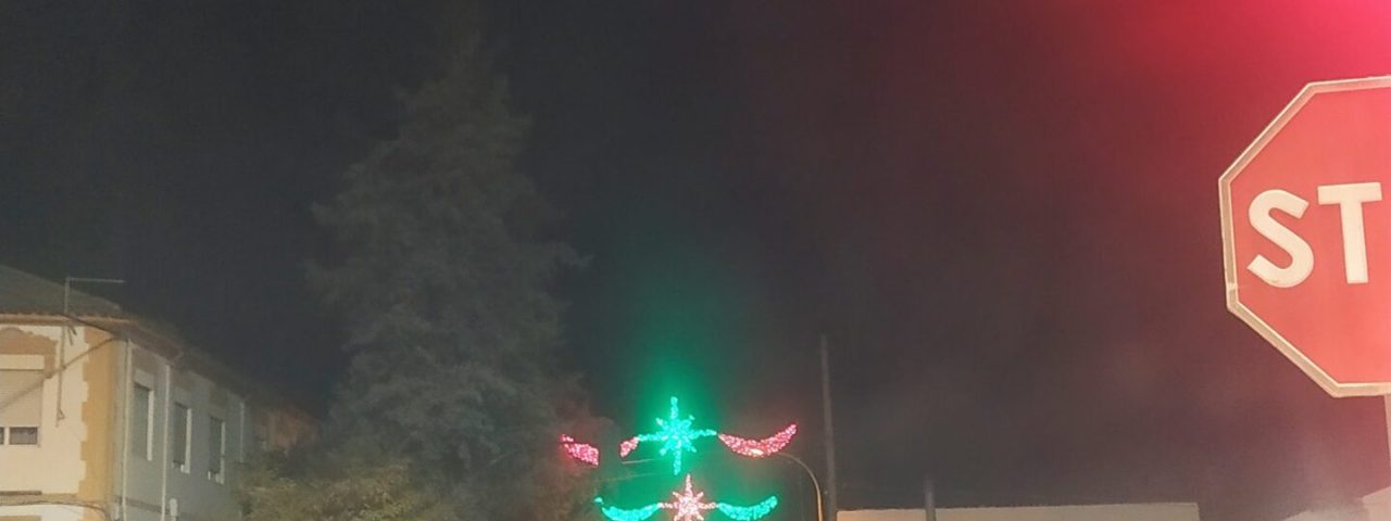 pinos-puente-8