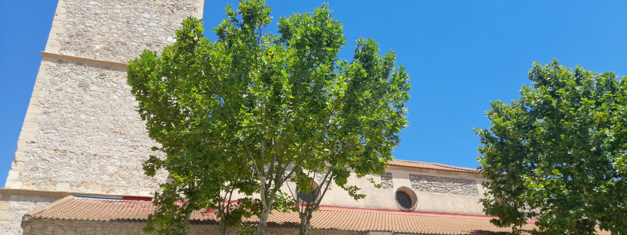 san-agustin-de-guadalix-11