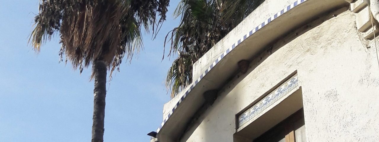san-vicente-dels-horts-1