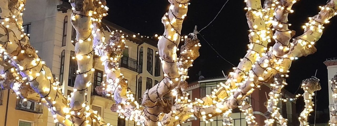soria-7