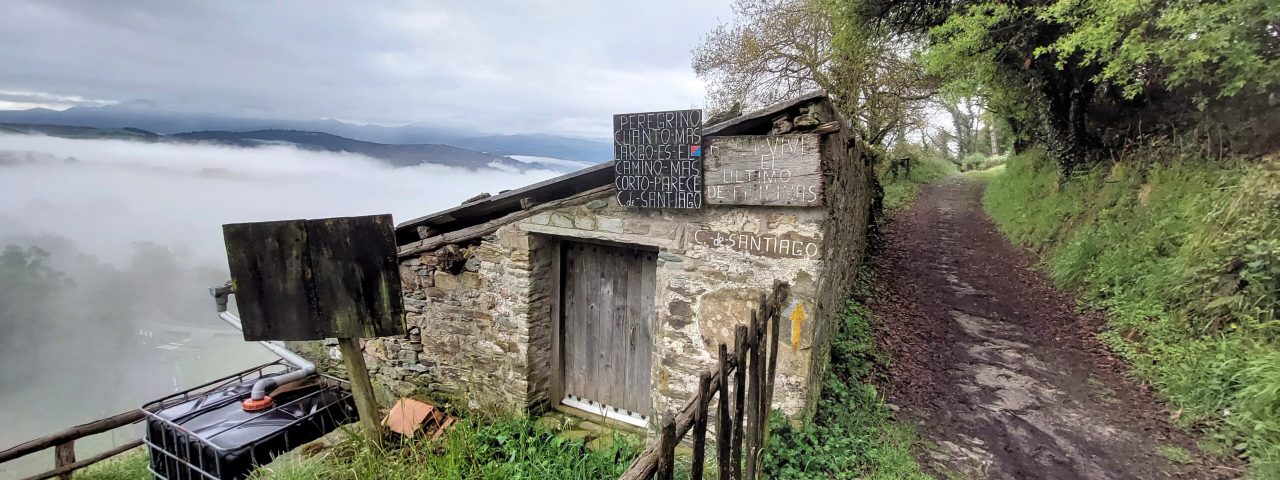 tineo-9