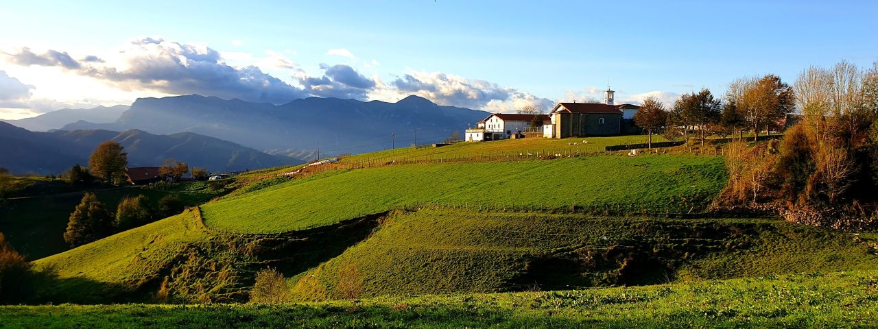 tolosa-3