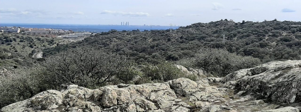 torrelodones-10
