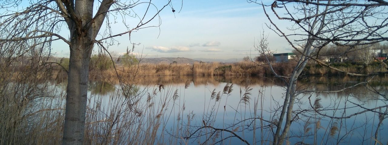 velilla-de-san-antonio-12