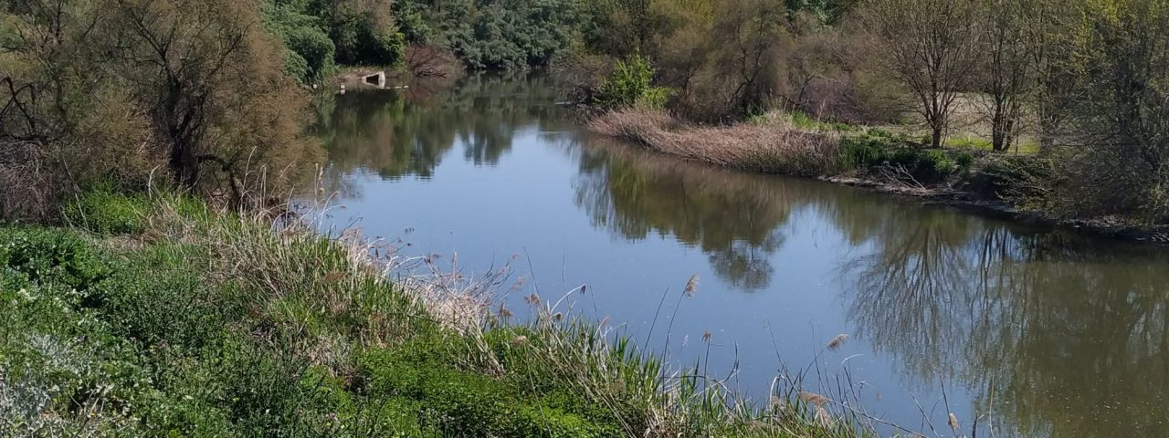 velilla-de-san-antonio-5